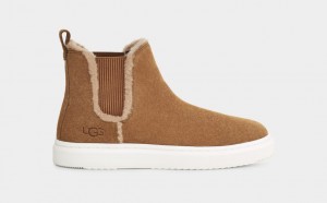 Ugg Alameda Chelsea High Top Sneakers Dam Bruna | Sverige-60751