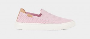 Ugg Alameda Sammy Slip On Skor Dam Rosa | Sverige-03251