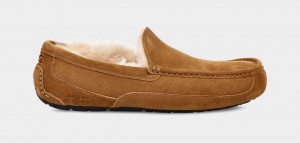 Ugg Ascot Mockasiner Herr Bruna | Sverige-67823