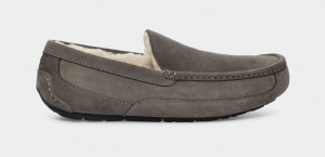 Ugg Ascot Mockasiner Herr Grå | Sverige-95704