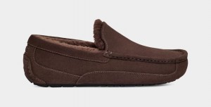 Ugg Ascot Mockasiner Herr Mörkbruna | Sverige-07486