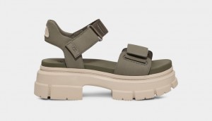 Ugg Ashton Ankle Sandaler Dam Gröna | Sverige-58470