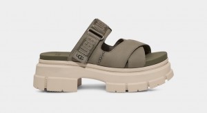 Ugg Ashton Badtofflor Sandaler Dam Gröna | Sverige-29150