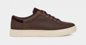 Ugg Baysider Low Weather Sneakers Herr Choklad | Sverige-16520