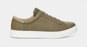 Ugg Baysider Low Weather Sneakers Herr Gröna | Sverige-94827