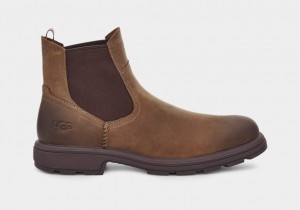 Ugg Biltmore Chelsea Stövlar Herr Bruna | Sverige-01592