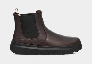 Ugg Burleigh Chelsea Stövlar Herr Bruna | Sverige-94783