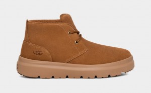 Ugg Burleigh Chukka Sneakers Herr Bruna | Sverige-75281