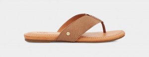 Ugg Carey Flip Badtofflor Sandaler Dam Bruna | Sverige-10295