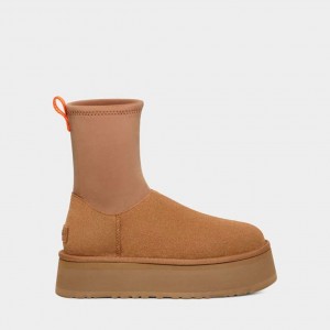 Ugg Classic Dipper Stövlar Dam Bruna | Sverige-36175