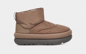 Ugg Classic Maxi Mini Stövlar Dam Bruna | Sverige-06385