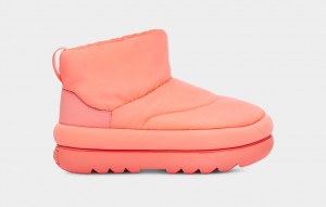 Ugg Classic Maxi Mini Stövlar Dam Orange | Sverige-61702