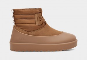 Ugg Classic Mini Spets-Up Weather Stövlar Herr Bruna | Sverige-81529