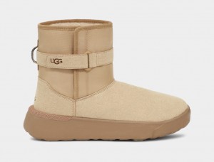 Ugg Classic S Stövlar Herr Bruna | Sverige-43651