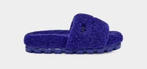 Ugg Cozetta Curly Tofflor Dam Blå | Sverige-80356