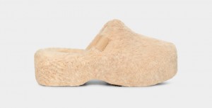 Ugg Fuzz Sugar Clog Tofflor Dam Beige | Sverige-91385