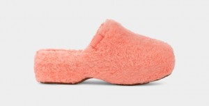 Ugg Fuzz Sugar Clog Tofflor Dam Rosa | Sverige-40651