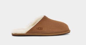 Ugg Hyde Tofflor Herr Bruna | Sverige-06239