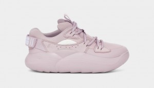 Ugg LA Cloud Spets Sneakers Dam Rosa Grå | Sverige-72314