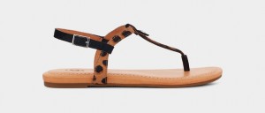 Ugg Madeena Flip Flop Sandaler Dam Bruna Svarta | Sverige-62137