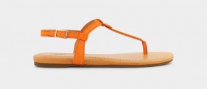 Ugg Madeena Mocka Flip Flop Sandaler Dam Orange | Sverige-89172