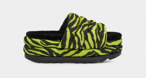 Ugg Maxi Badtofflor Tiger Print Sandaler Dam Ljusgröna | Sverige-03681