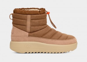 Ugg Maxxer Mini Stövlar Herr Bruna | Sverige-01923