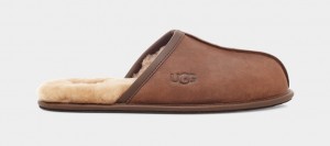 Ugg Scuff Läder Tofflor Herr Bruna | Sverige-41603