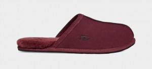 Ugg Scuff Tofflor Herr Lila | Sverige-92450