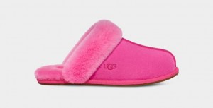 Ugg Scuffette II Tofflor Dam Rosa | Sverige-48075