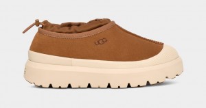 Ugg Tasman Weather Hybrid Tofflor Dam Bruna | Sverige-74931