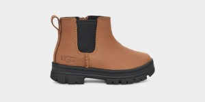 Ugg Toddler Ashton Chelsea Stövlar Barn Bruna | Sverige-51843