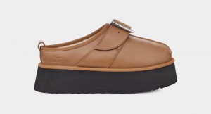 Ugg X OC Tasman Tofflor Dam Bruna | Sverige-16539