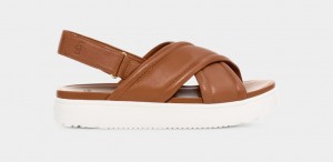 Ugg Zayne Slingback Sandaler Dam Bruna | Sverige-63014