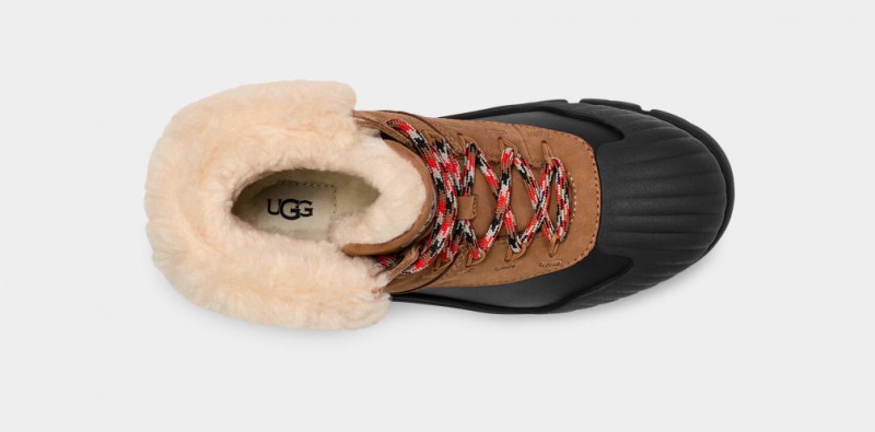 Ugg Adiroam Hiker Vinterstövlar Dam Bruna | Sverige-87932