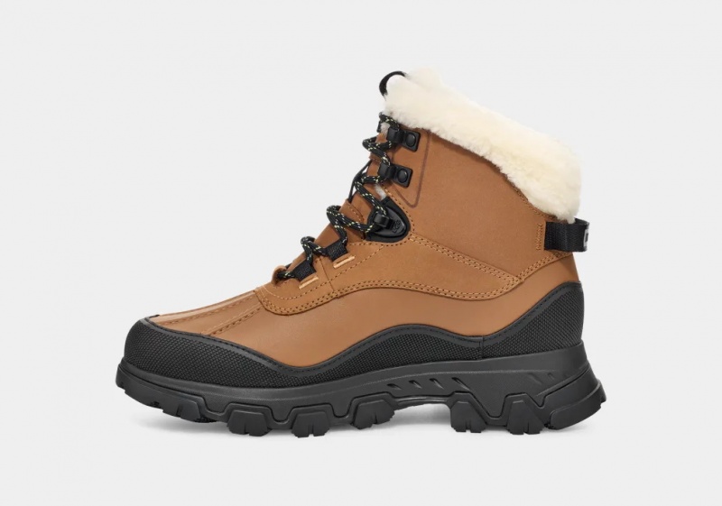 Ugg Adirondack Meridian Hiker Stövlar Dam Bruna | Sverige-68052