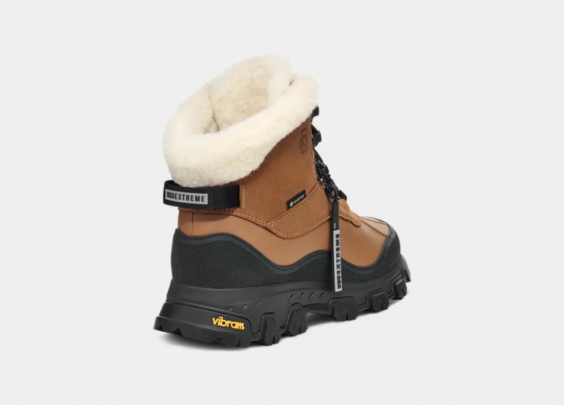 Ugg Adirondack Meridian Hiker Stövlar Dam Bruna | Sverige-68052