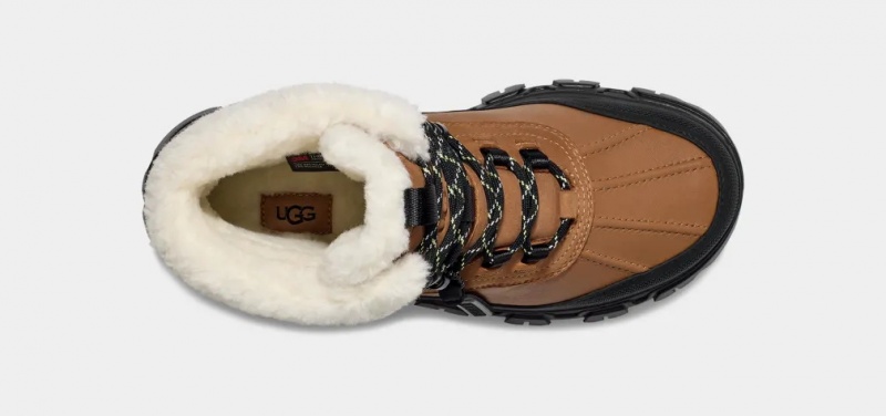 Ugg Adirondack Meridian Hiker Stövlar Dam Bruna | Sverige-68052