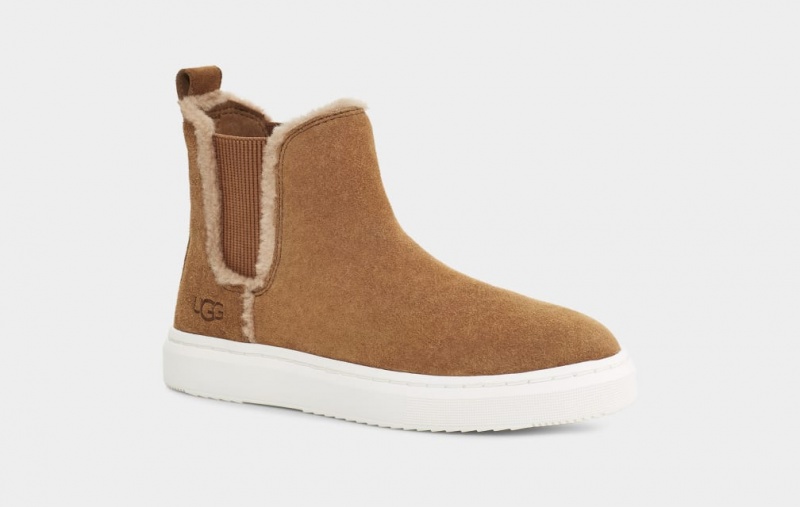 Ugg Alameda Chelsea High Top Sneakers Dam Bruna | Sverige-60751