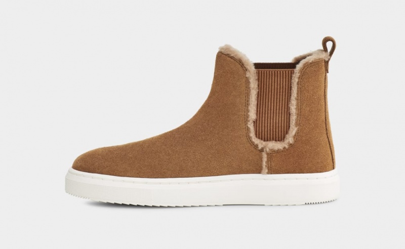 Ugg Alameda Chelsea High Top Sneakers Dam Bruna | Sverige-60751