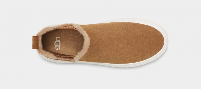 Ugg Alameda Chelsea High Top Sneakers Dam Bruna | Sverige-60751