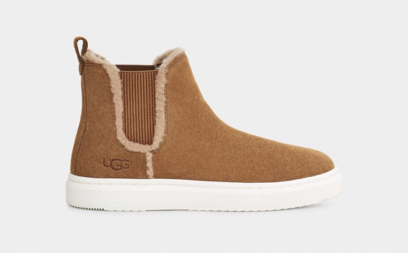 Ugg Alameda Chelsea High Top Sneakers Dam Bruna | Sverige-60751