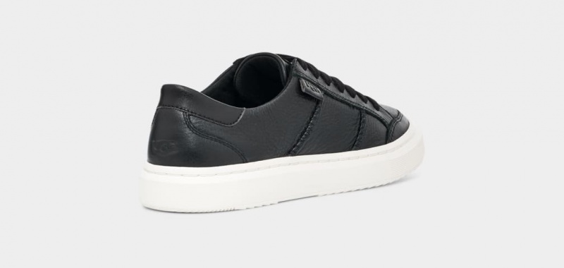 Ugg Alameda Spets Sneakers Herr Svarta | Sverige-84267