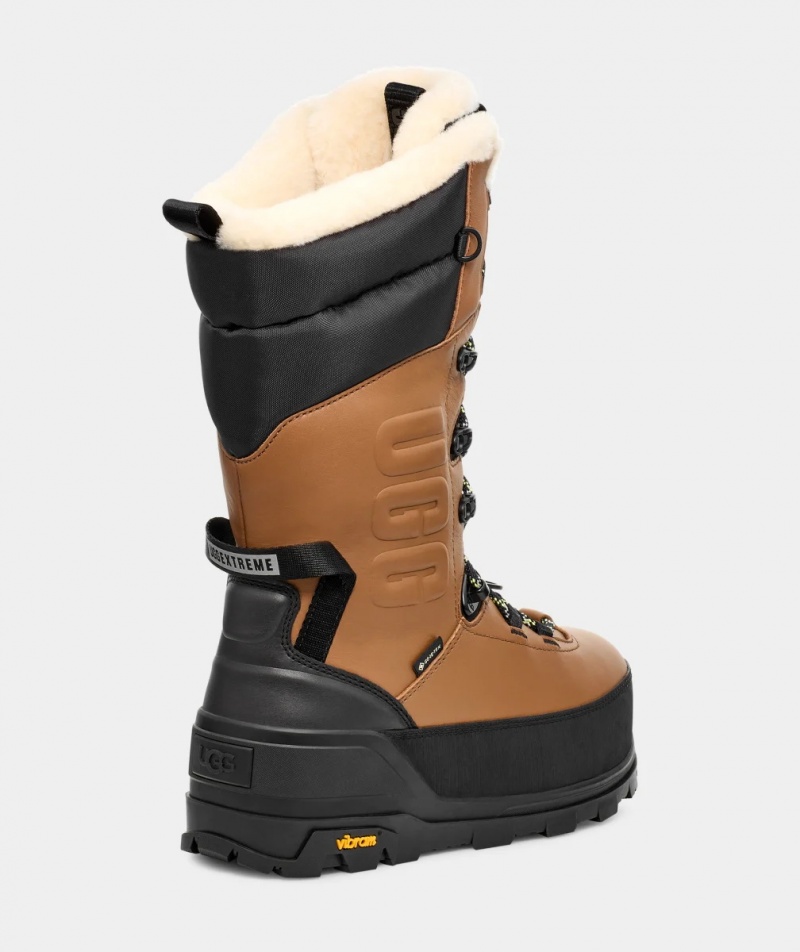 Ugg All Gender Shasta Boot Höga Stövlar Dam Bruna | Sverige-08436