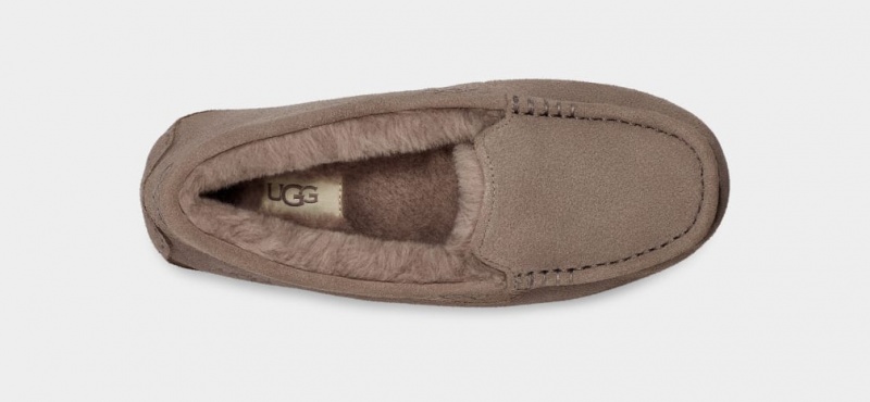 Ugg Ansley Mockasiner Dam Bruna | Sverige-34021