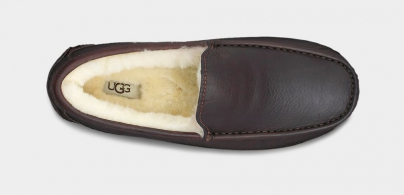 Ugg Ascot Läder Mockasiner Herr Mörkbruna | Sverige-13268