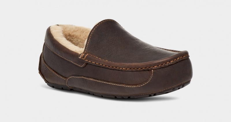 Ugg Ascot Matte Läder Mockasiner Herr Bruna | Sverige-24139