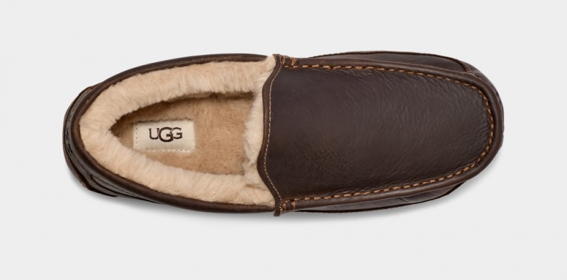 Ugg Ascot Matte Läder Mockasiner Herr Bruna | Sverige-24139