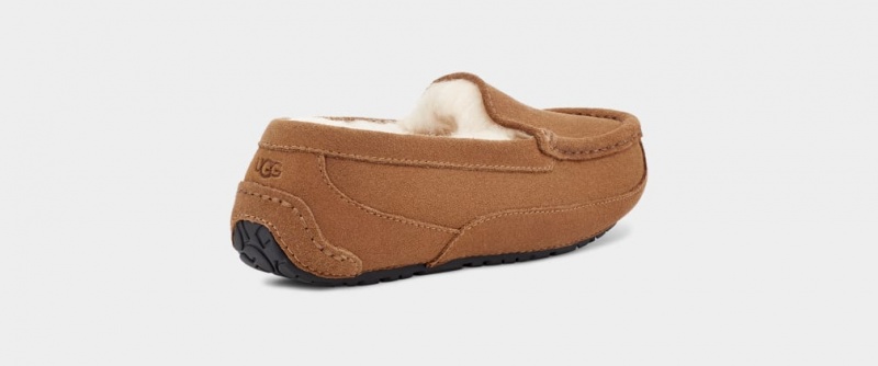 Ugg Ascot Mockasiner Barn Bruna | Sverige-81320