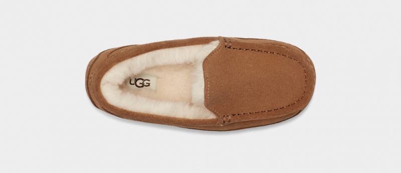 Ugg Ascot Mockasiner Barn Bruna | Sverige-81320